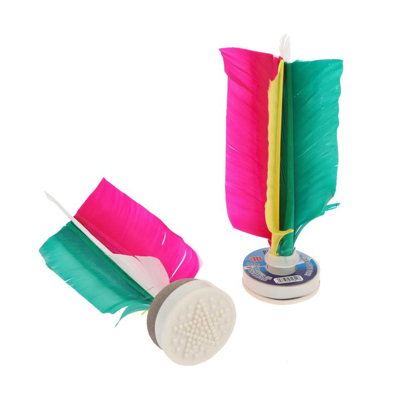 جديد 6 قطع ريشة تنس الريشة للت - مراجعة Feather Shuttlecock وسعره