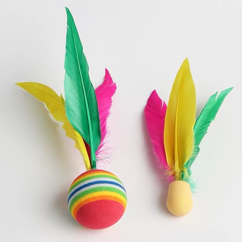 مجموعة كرات تنس الريشة الخارجي - مراجعة Badminton Shuttlecock وسعره